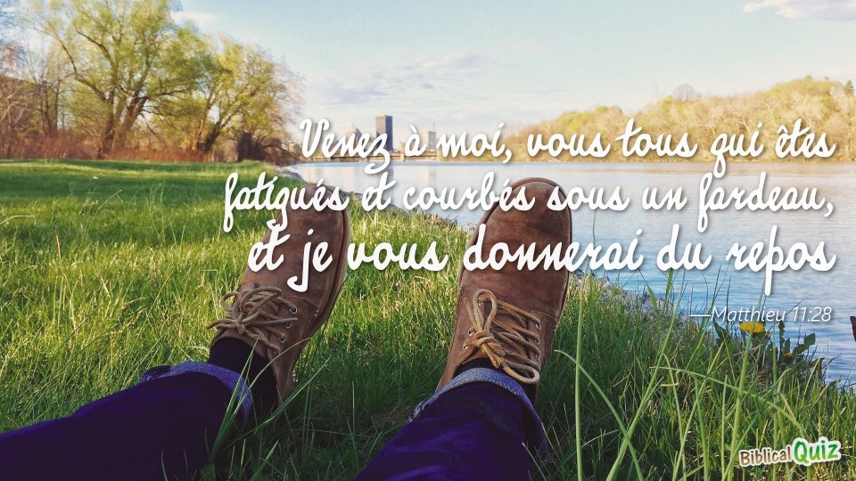 matthieu 11 28 aelf