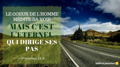 Proverbes 16.9