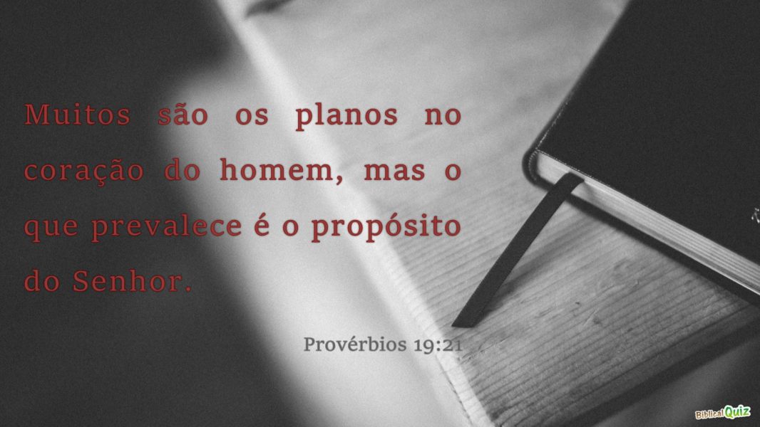 Provérbios 19.21