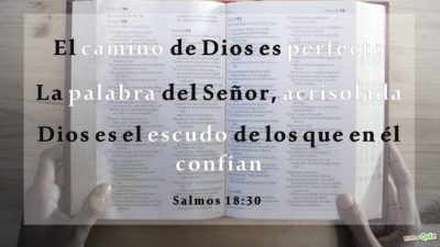 Salmos 18.30