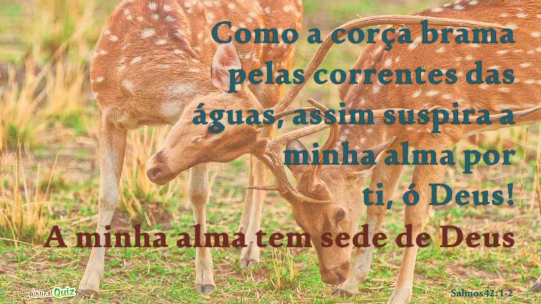 Salmos 42.1-2